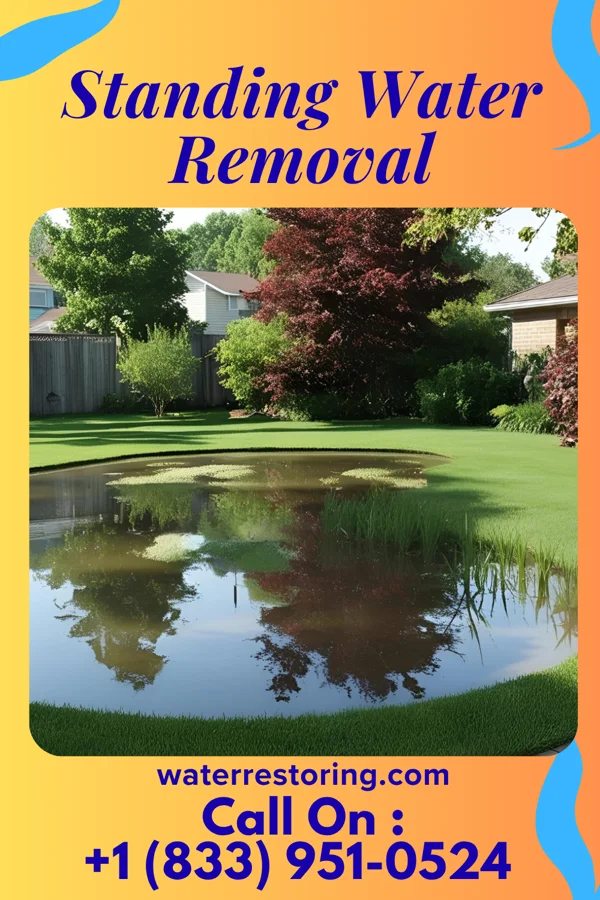 Standing Water Removal in Linn Creek, MO